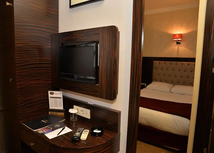 Golden Siyav 호텔 이스탄불